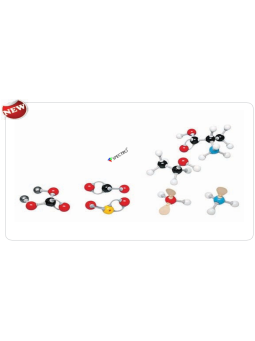 PL MOLECULAR MODEL SET - INORGANIC / ORGANIC SET -  TEACHER